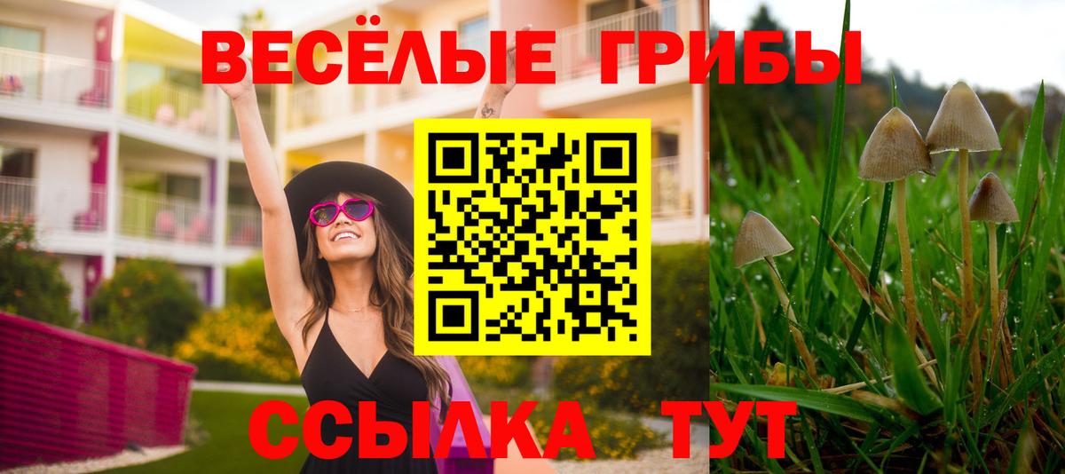 Галлюциногенные грибы Magic Shrooms Фролово